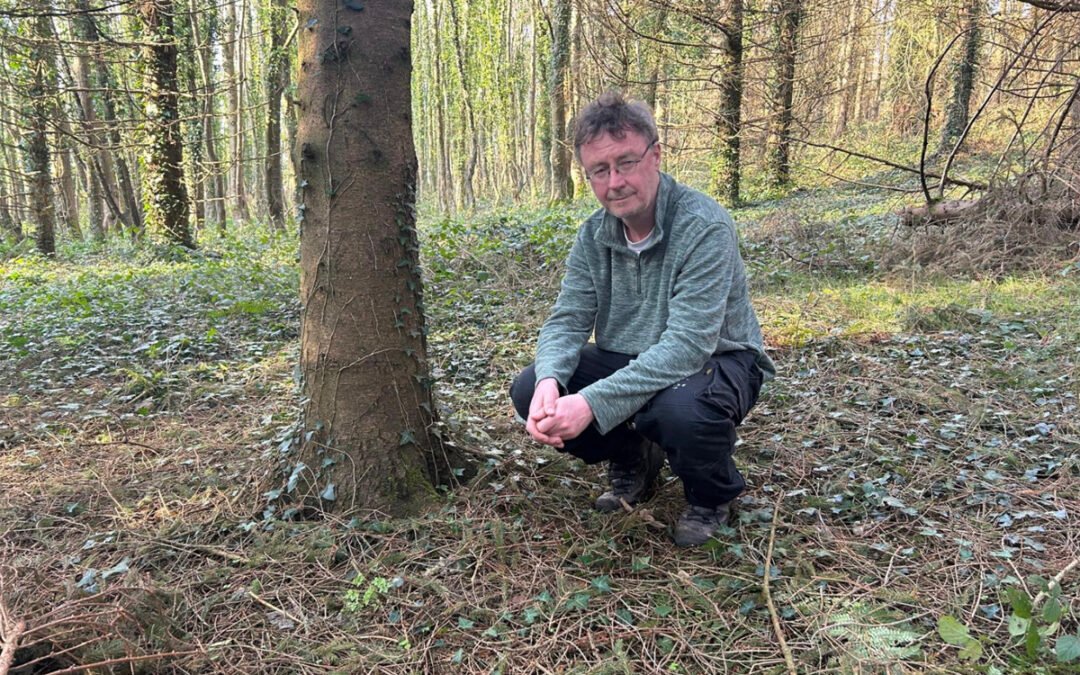 Tuesday, February 2025. Tivenadarragh Forest